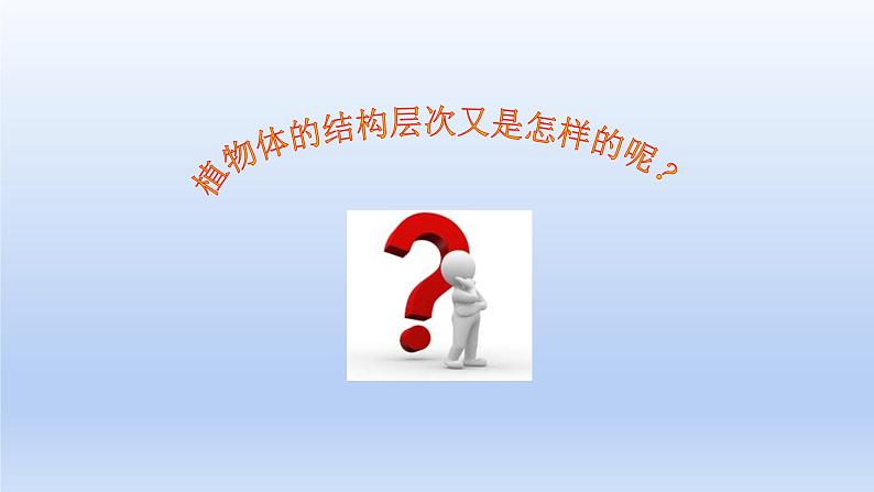人教版生物七年级上册 2.2.3植物体的结构层次优化课件第3页