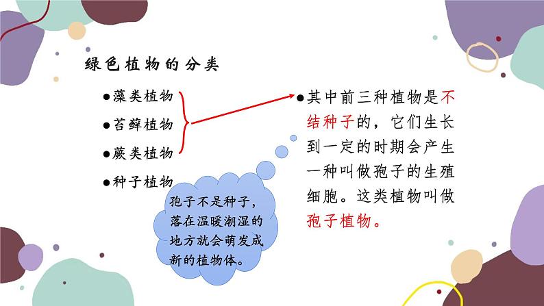人教版生物七年级上册 3.1.1藻类、苔藓和蕨类植物优化课件第3页