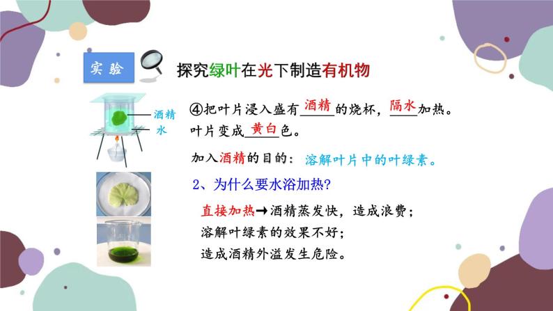 人教版生物七年级上册 3.4绿色植物是生物圈中有机物的制造者优化课件07