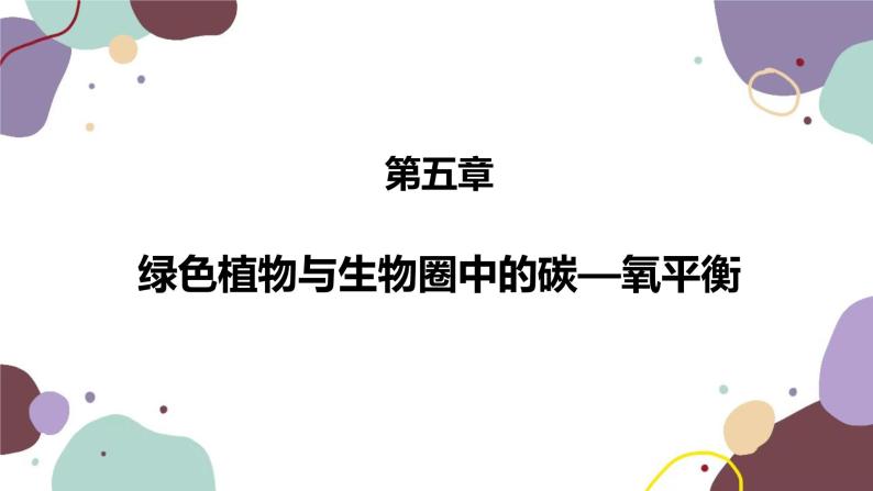 人教版生物七年级上册 3.5.1光合作用吸收二氧化碳释放氧气优化课件02