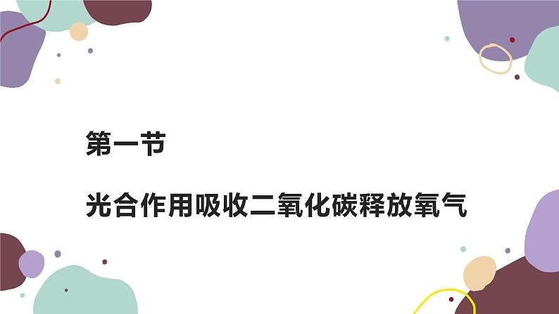 人教版生物七年级上册 3.5.1光合作用吸收二氧化碳释放氧气优化课件03