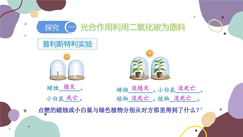 人教版生物七年级上册 3.5.1光合作用吸收二氧化碳释放氧气优化课件06