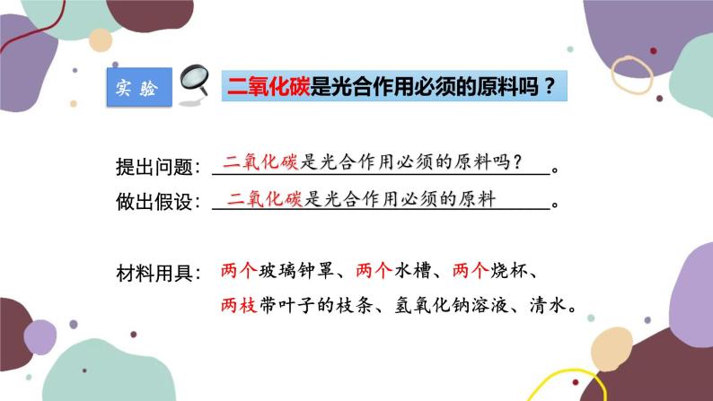 人教版生物七年级上册 3.5.1光合作用吸收二氧化碳释放氧气优化课件08