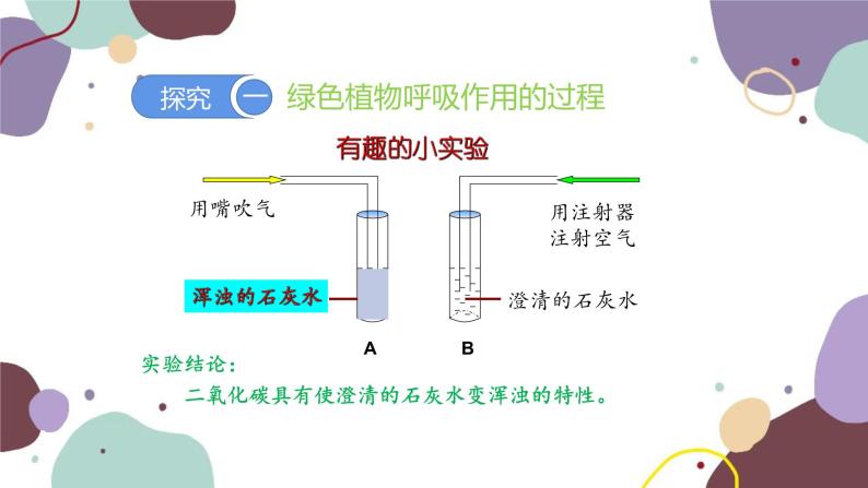 人教版生物七年级上册 3.5.2 绿色植物的呼吸作用优化课件05