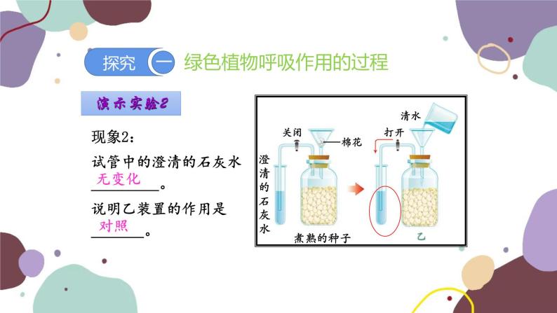 人教版生物七年级上册 3.5.2 绿色植物的呼吸作用优化课件07