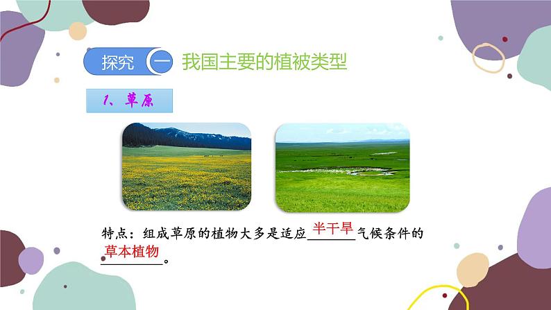 人教版生物七年级上册 3.6爱护植被,绿化祖国优化课件第5页