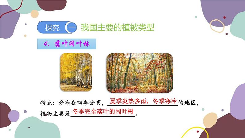 人教版生物七年级上册 3.6爱护植被,绿化祖国优化课件第8页