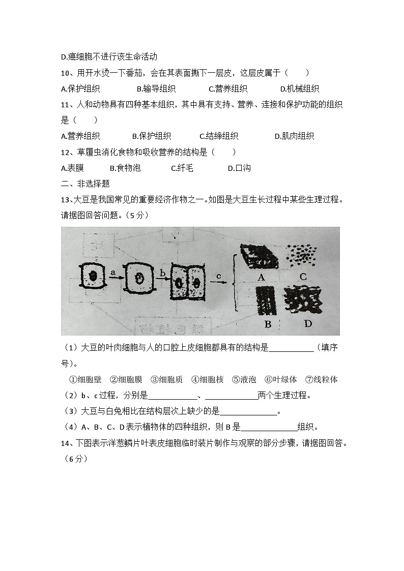 湖北省武穴市大金镇中学2023-2024学年七年级上学期期中质量检测生物试题第2页