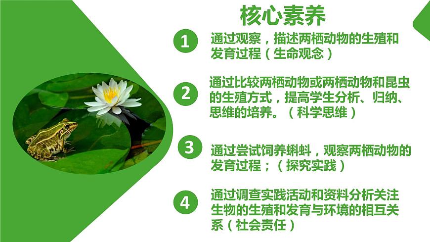 【核心素養(yǎng)】人教版初中八年級(jí)下冊(cè)7.1.3《兩棲動(dòng)物的生殖和發(fā)育》課件第2頁(yè)