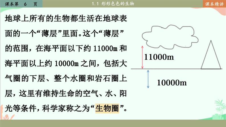 北师大版生物七年级上册 1.1 形形色色的生物课件03