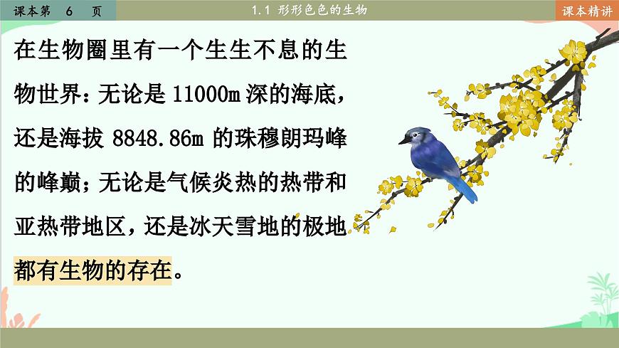 北師大版生物七年級(jí)上冊(cè) 1.1 形形色色的生物課件第4頁(yè)