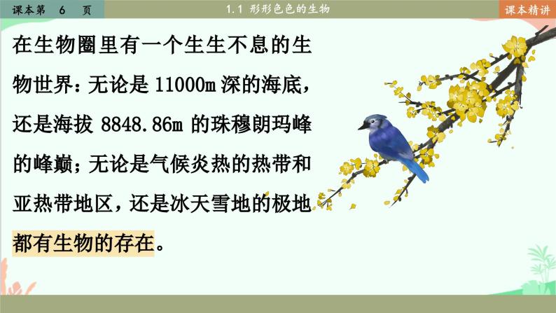 北师大版生物七年级上册 1.1 形形色色的生物课件04