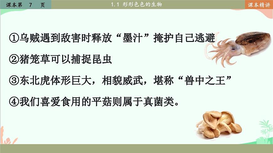 北師大版生物七年級(jí)上冊(cè) 1.1 形形色色的生物課件第8頁(yè)