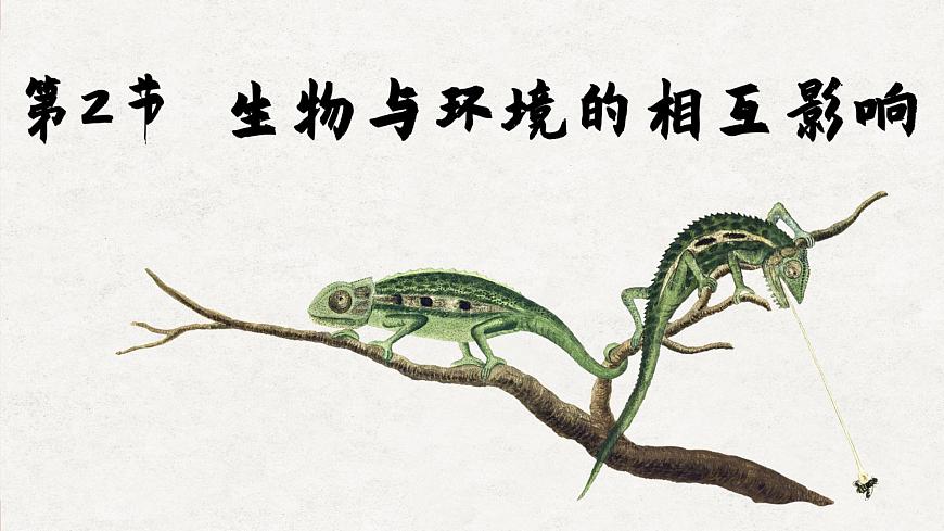 北師大版生物七年級(jí)上冊(cè) 1.2 生物與環(huán)境的相互影響課件第1頁