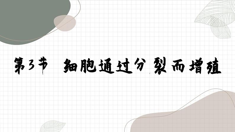 北师大版生物七年级上册 3.3 细胞通过分裂而增殖课件01