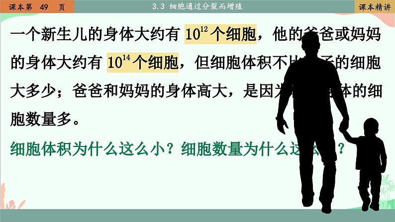 北师大版生物七年级上册 3.3 细胞通过分裂而增殖课件03