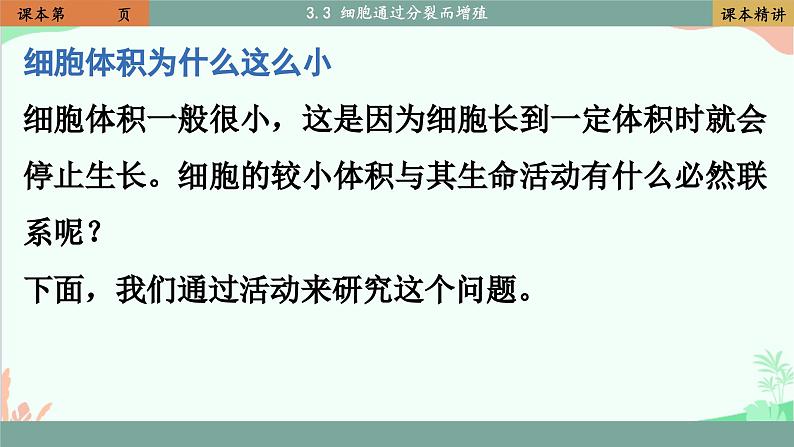 北师大版生物七年级上册 3.3 细胞通过分裂而增殖课件04