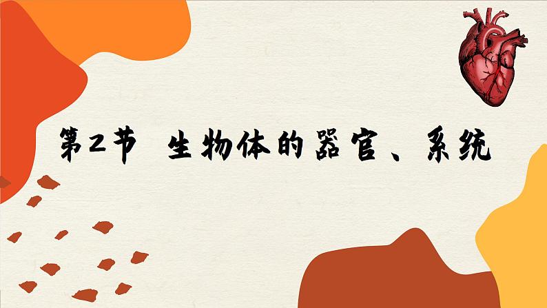 北师大版生物七年级上册 4.2 生物体的器官、系统课件第1页
