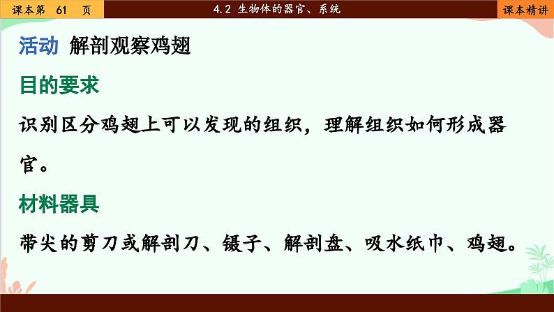 北师大版生物七年级上册 4.2 生物体的器官、系统课件第5页