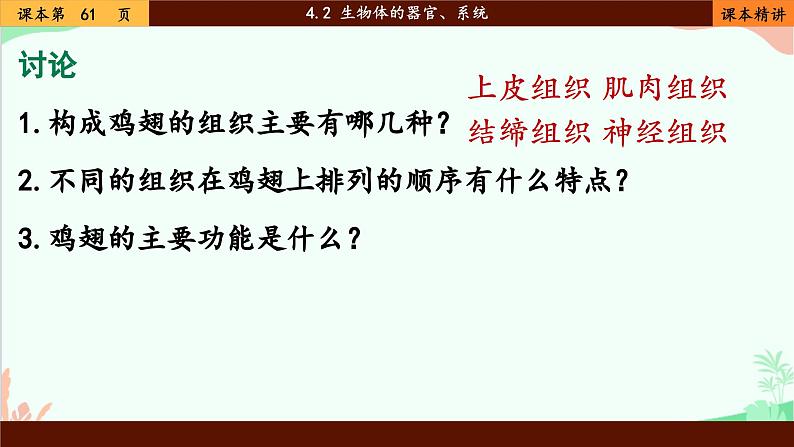 北师大版生物七年级上册 4.2 生物体的器官、系统课件第8页