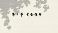 北师大版七年级上册第1节  光合作用备课课件ppt