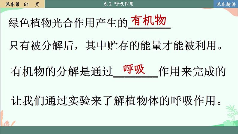 北师大版生物七年级上册 5.2 呼吸作用 课件第2页