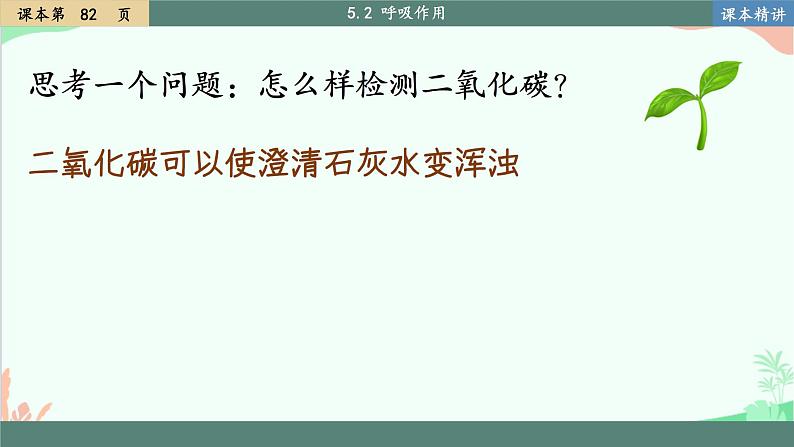 北师大版生物七年级上册 5.2 呼吸作用 课件第8页