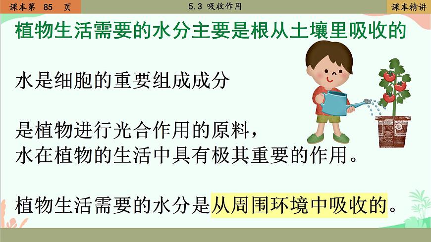 北師大版生物七年級上冊 5.3 吸收作用課件第4頁