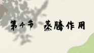北师大版七年级上册第4节  蒸腾作用示范课ppt课件