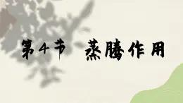 北师大版生物七年级上册 5.4 蒸腾作用课件