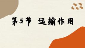 初中生物北师大版七年级上册第5节  运输作用评课课件ppt