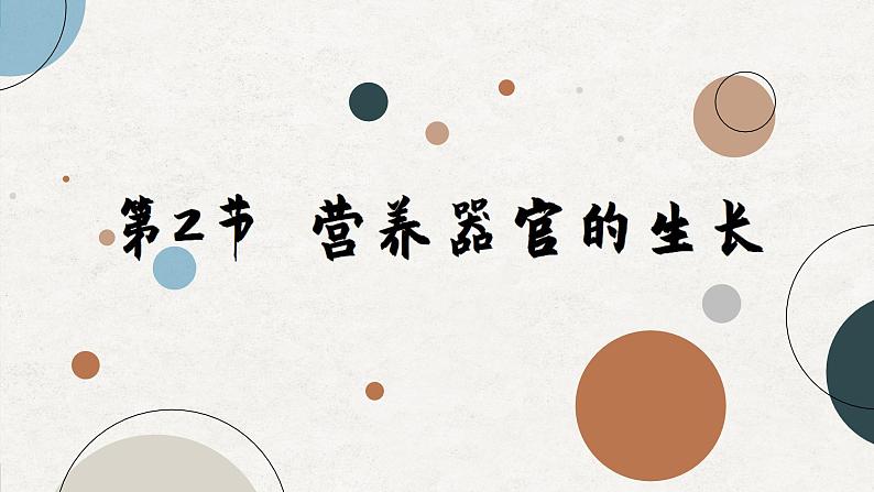 北师大版生物七年级上册 6.2 营养器官的生长课件第1页
