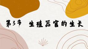 生物第3节  生殖器官的生长课文配套课件ppt