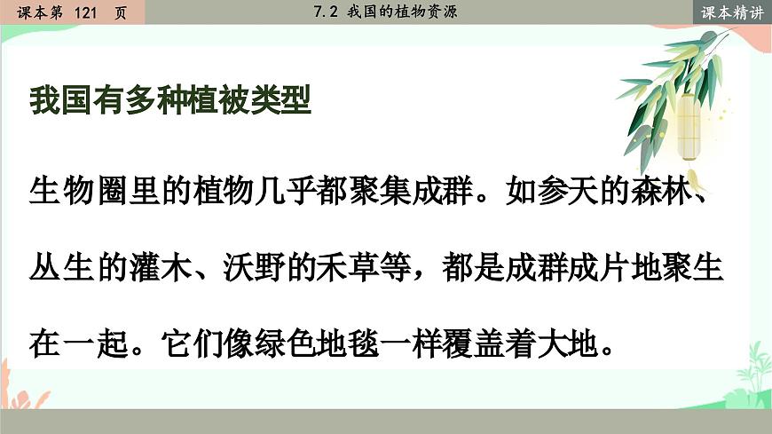 北師大版生物七年級(jí)上冊(cè) 7.2 我國的植物資源課件第3頁