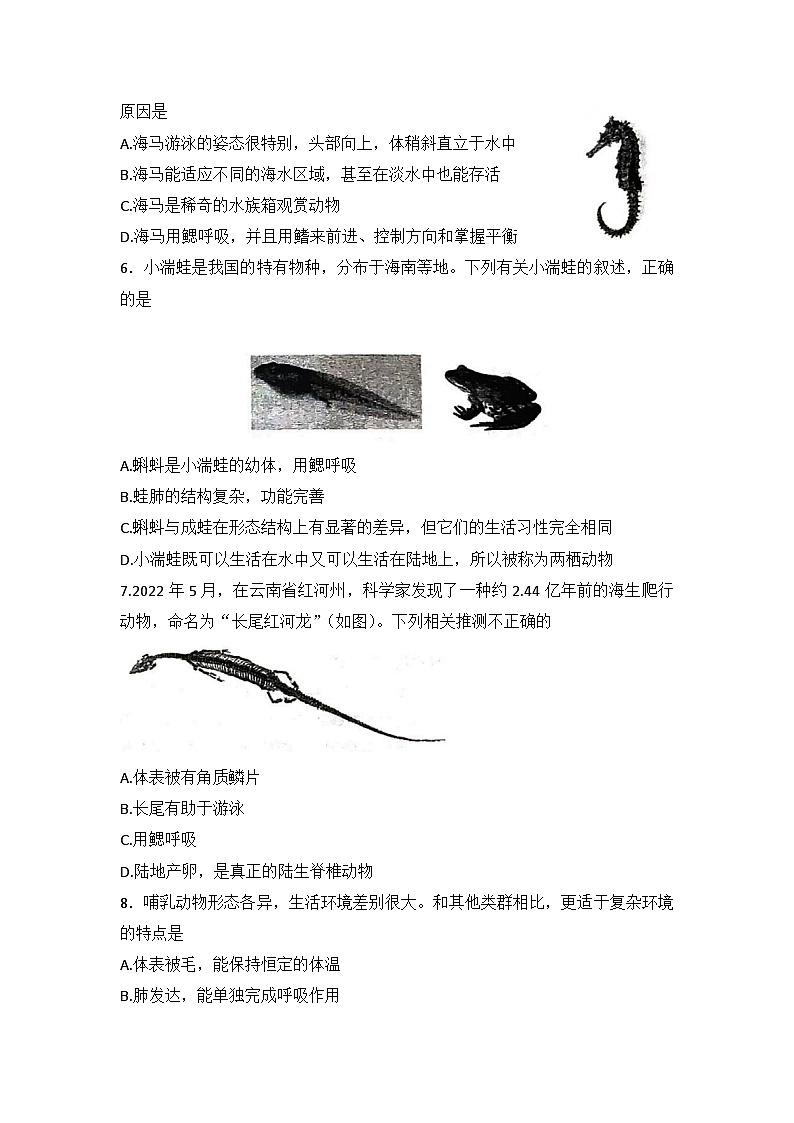 山东省泰安市宁阳县2023-2024学年八年级上学期期中生物试题第2页