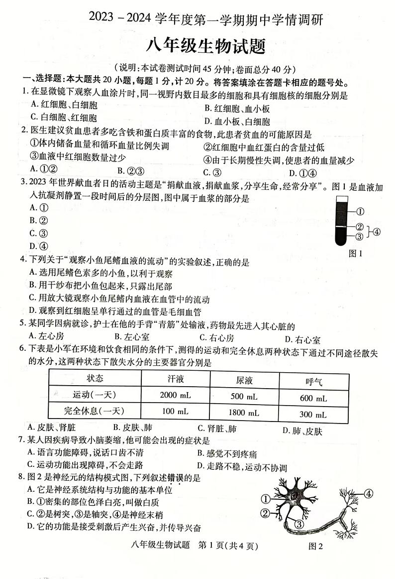 江苏省徐州市丰县2023-2024学年八年级上学期期中学情调研生物试卷第1页