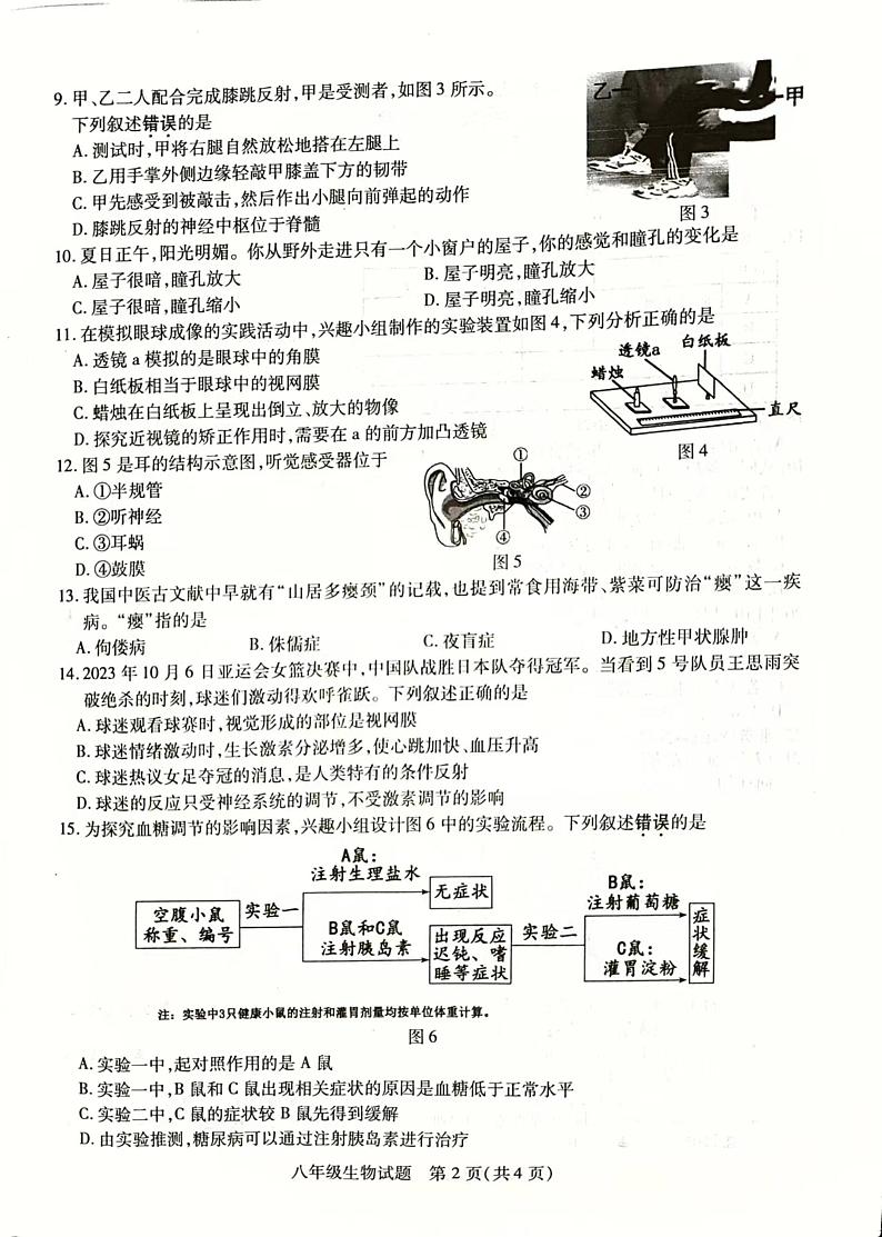 江苏省徐州市丰县2023-2024学年八年级上学期期中学情调研生物试卷第2页