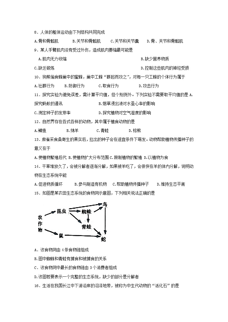 广东省清远市英德市2023-2024学年八年级上学期期中生物试题02