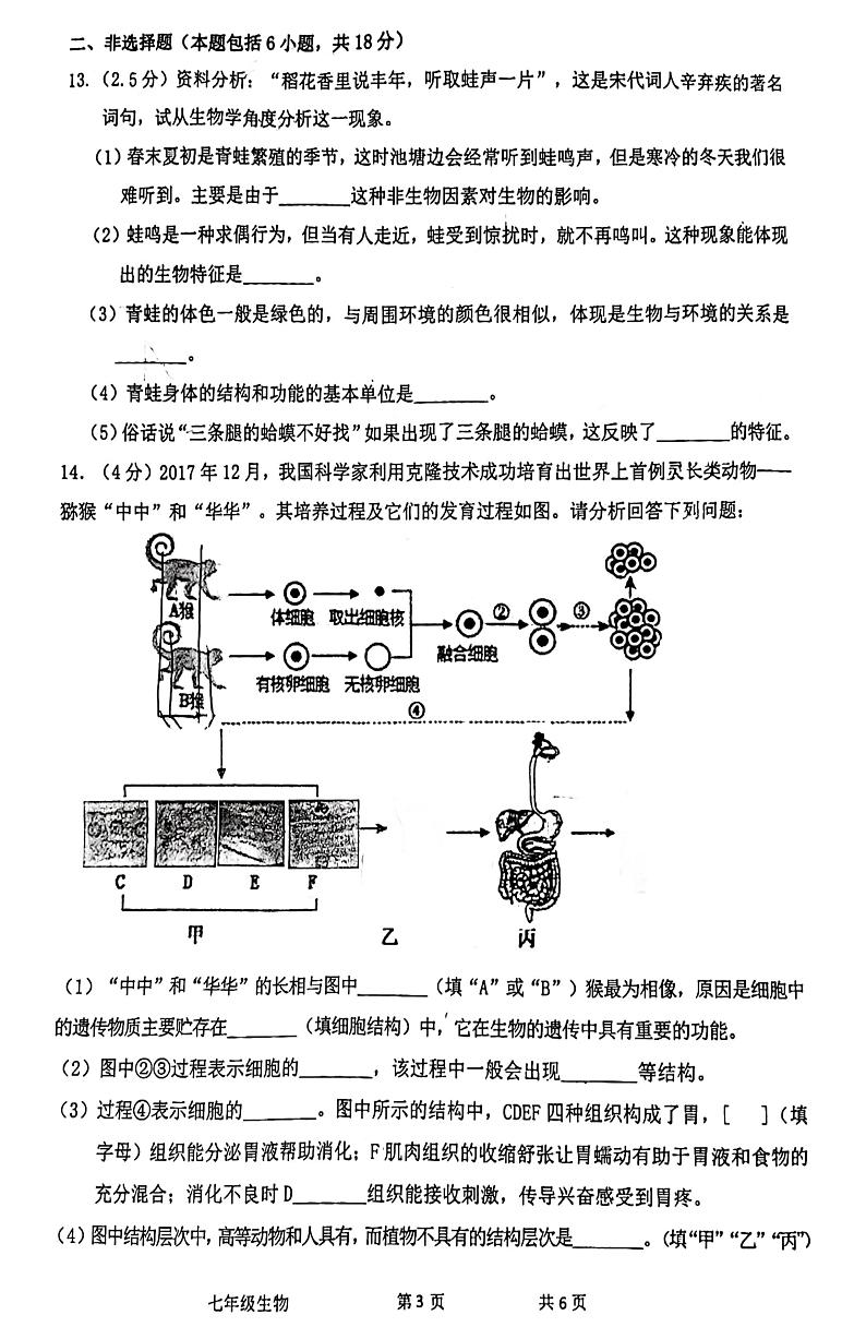 辽宁省沈阳市第七中学2023-2024学年七年级上学期期中考试生物试卷03