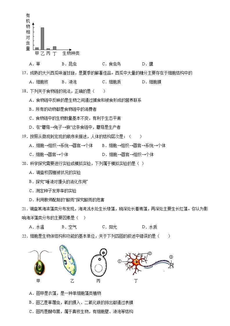 广东省深圳市宝安区振兴学校2022-2023学年七年级上学期期中考试生物试题第3页