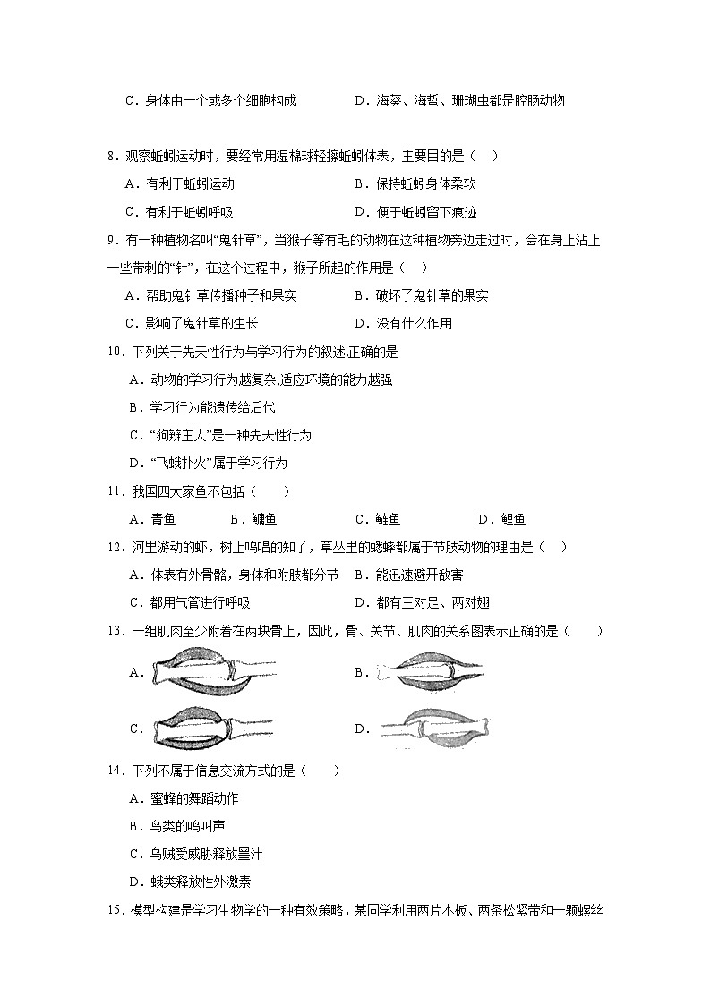 广东省深圳市宝安区振兴学校2022-2023学年八年级上学期期中考试生物试题第2页