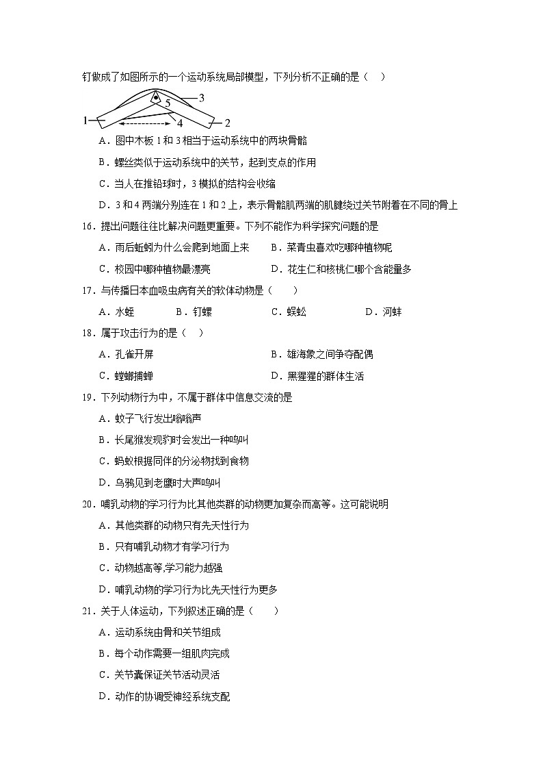 广东省深圳市宝安区振兴学校2022-2023学年八年级上学期期中考试生物试题第3页