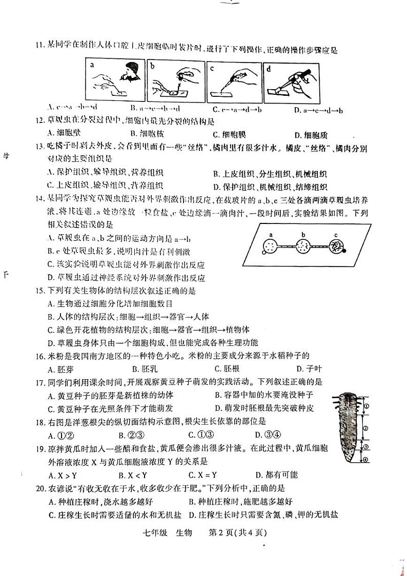 河南省洛阳市伊川县2023-2024学年七年级上学期期中生物试题第2页