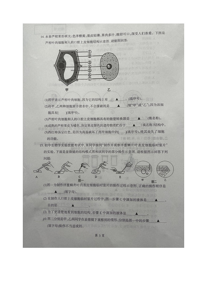 辽宁省本溪市2023-2024学年七年级上学期期中生物试题03