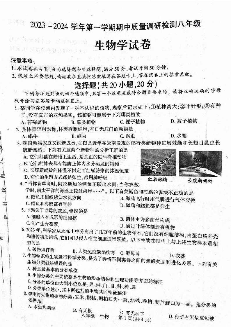 河南省洛阳市伊川县2023-2024学年八年级上学期期中生物试题第1页
