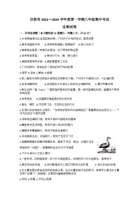 甘肃省庆阳市庆城县2023-2024学年八年级上学期11月期中生物试题