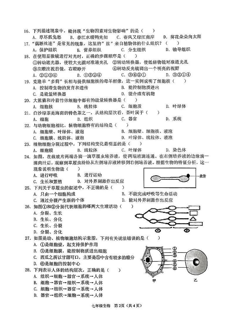 海南省海口市丰南中学2023—2024学年七年级上学期期中检测生物试题02