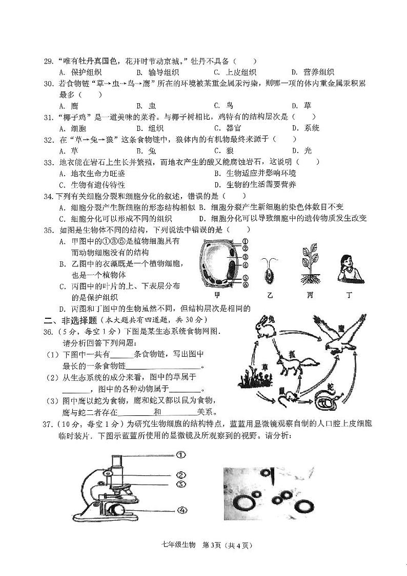 海南省海口市丰南中学2023—2024学年七年级上学期期中检测生物试题03