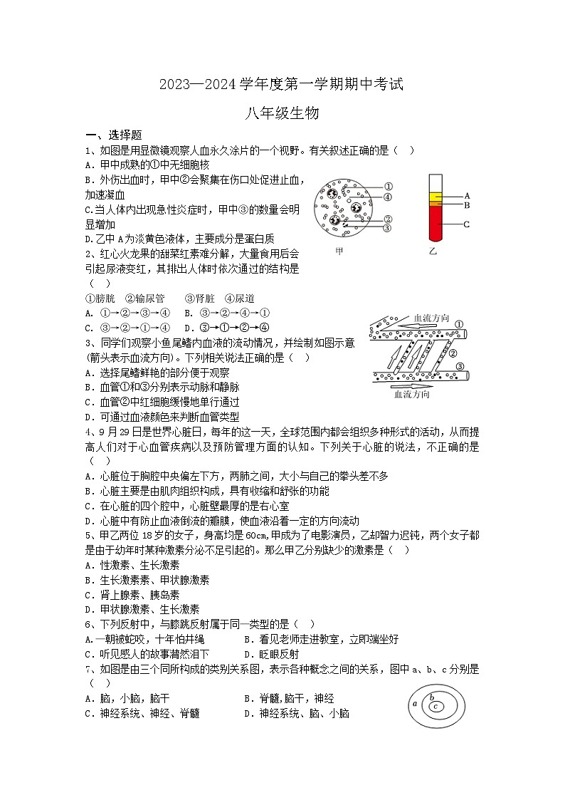 江苏省南通市海门四校2023-2024学年八年级上学期期中生物试题第1页