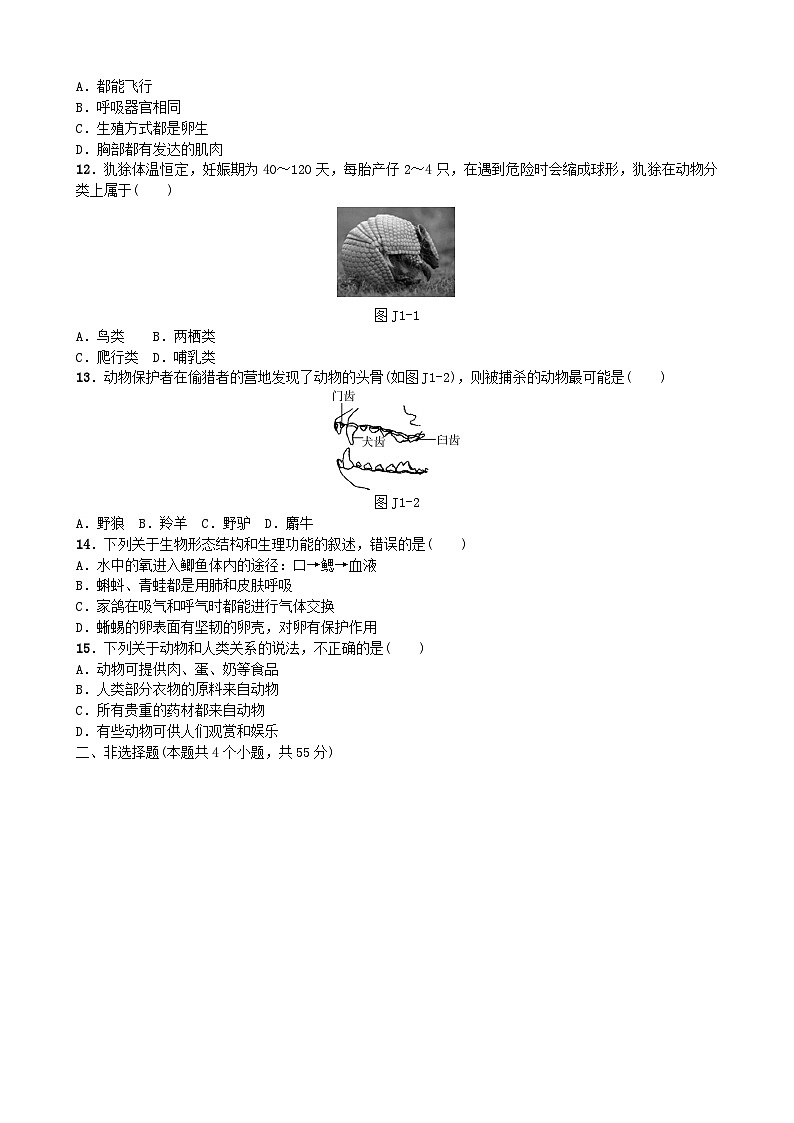人教版生物八年级上册 第五单元第一章 单元测试02